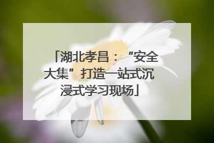 湖北孝昌：“安全大集”打造一站式沉浸式学习现场